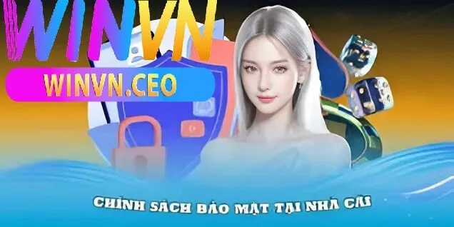 Chính sách bảo mật Winvn