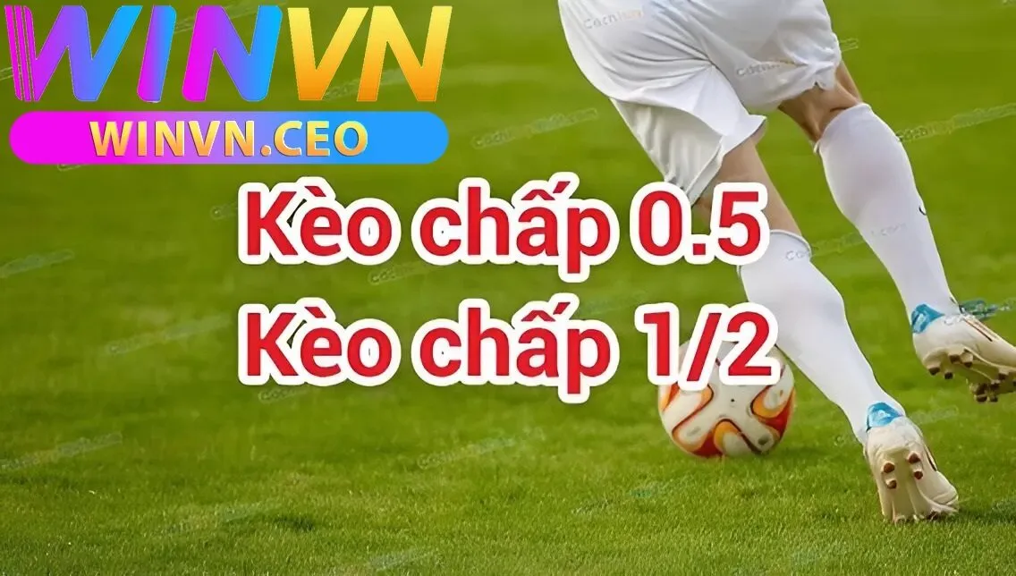 Kinh Nghiệm Chơi Kèo Chấp ½ winvn Từ Các Cao Thủ