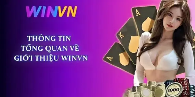 Câu hỏi thường gặp về tin tức Winvn