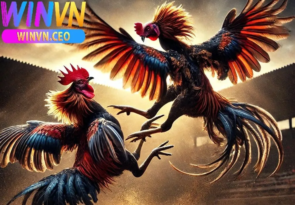 Đá Gà Online – Giải Trí Truyền Thống Sát Thực